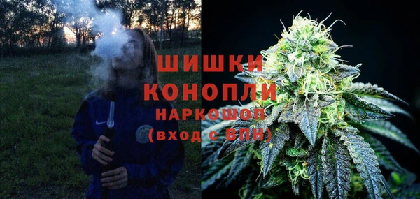 ГАЛЛЮЦИНОГЕННЫЕ ГРИБЫ Зеленодольск