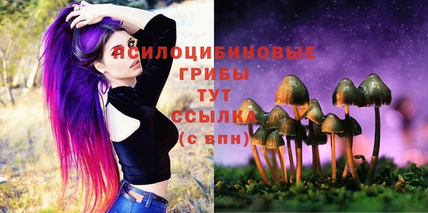 ешки Зеленокумск