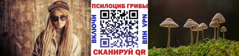 Галлюциногенные грибы Magic Shrooms  купить закладку  Златоуст 