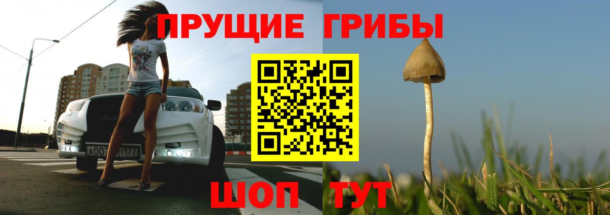 Златоуст  Галлюциногенные грибы ЛСД  Вход с VPN 