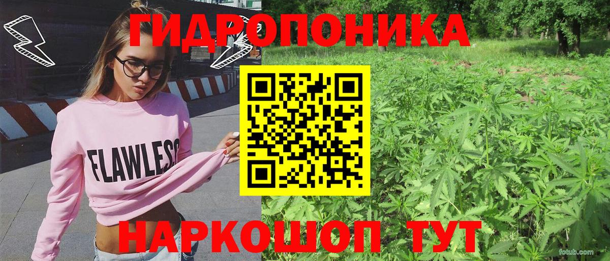Шишки марихуана семена  Вход с VPN  МАРИХУАНА Ganja  Златоуст  Бошки марихуана SATIVA & INDICA 